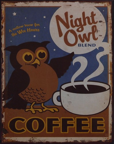 Blechschild night owl - "night, owl"
